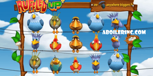 aboilerinc