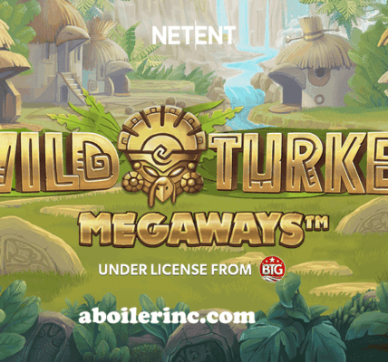 aboilerinc
