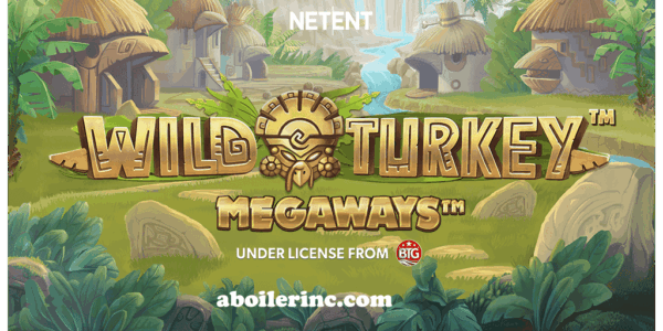 aboilerinc